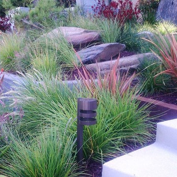 Landscape and Hardscape