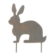 Rabbit Misc.