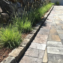 Front House Landscaping