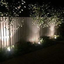 Ideas For Vera & Greg’s Backyard