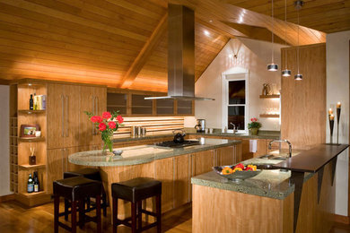 Trendy kitchen photo in Denver