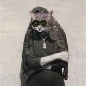April Walsh's photo