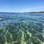 Eva Veble's photo