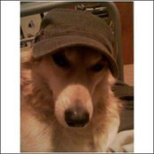 Travis Bodo's photo