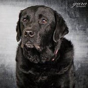 Barb Burri's photo