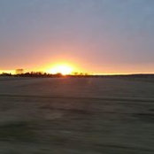 Willie McNees's photo