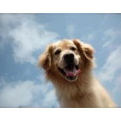 Cynthia Scherer's photo