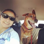 Cyndi Sedecki's photo