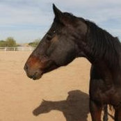 Stephanie Riches's photo
