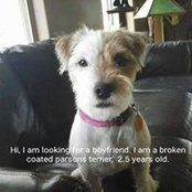 Janette Watt's photo