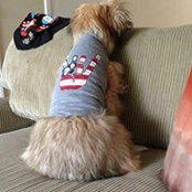 Ryan Fennell's photo