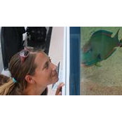 Alison Kocek's photo
