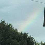 Cortney Hardee's photo