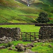 Janet Hallal's photo