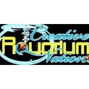 CreativeAquarium Nation's photo