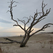 Donna Whitaker's photo
