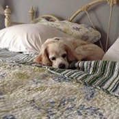 Cindy Schofield's photo