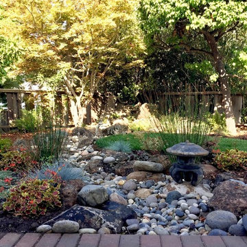 Los Altos Japanese style backyard