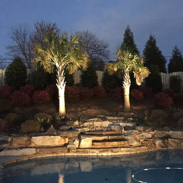 Pool Area Palm Tree Lighting
