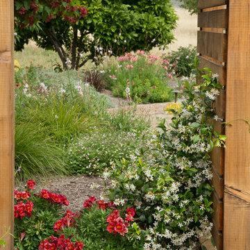 Drought 2015 gardens