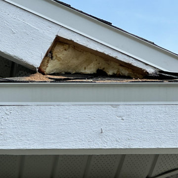 Patio Ceiling Repair & Fascia Replacement with Fresh Paint Finish