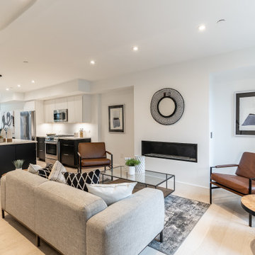 Southwest DC Duplex Renovation