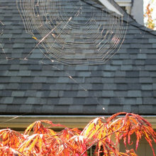 4 Good Reasons to Clean Your House for Winter