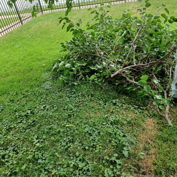 Fence Painting Project