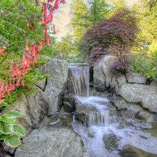 waterfalls and ponds