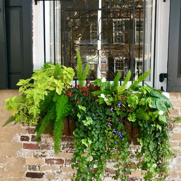 Southern Window Boxes