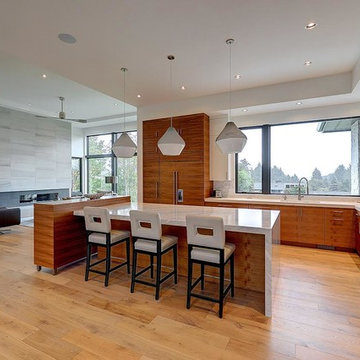 Lake Oswego Modern Estate