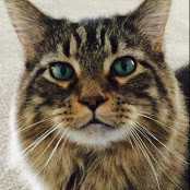 Lisa Ristow's photo