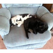Jann Philpott's photo