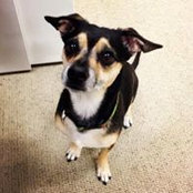 Sherri Cervelli's photo