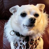 Lori Seguin's photo