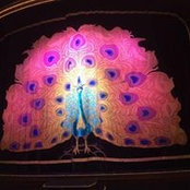 Julie McCarron's photo