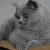 Tanya Adshead's photo