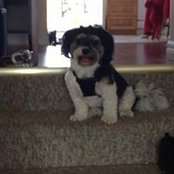 Audrey King's photo