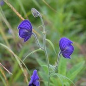 Elisa Rapaport's photo