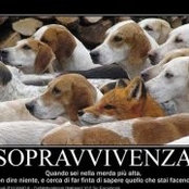 Foto von Silvana Miradoli