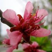 Teri Trujillo's photo