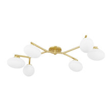 light fixtures
