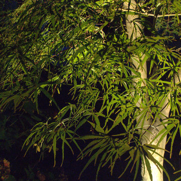 Landscape Lighting