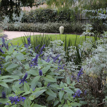 Landscape Ideas