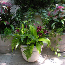Gardens