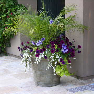 Pool/Spa, Hardscape and Landscape remodel in Indian Wells CC