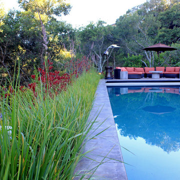 Mill Valley Hillside Garden