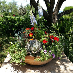 Landscaped Pots - Products