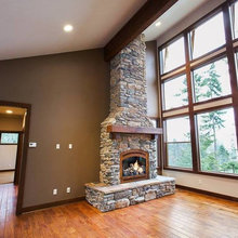 Family room fireplace