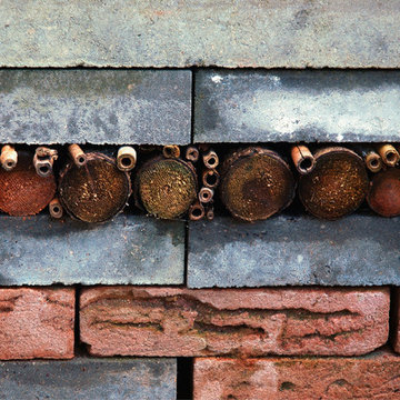 The Inclusive Garden, October 2013